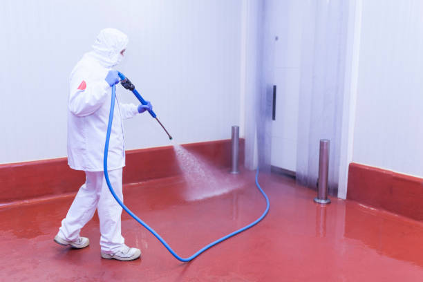 Best House Exterior Washing  in Lawai, HI